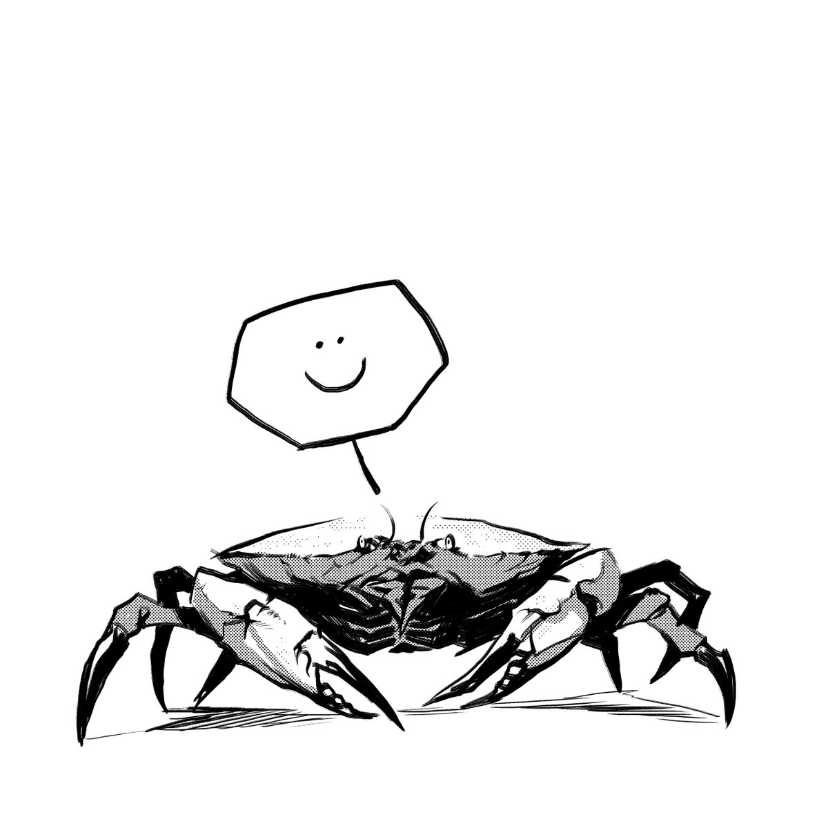 Crabs are so cool. 