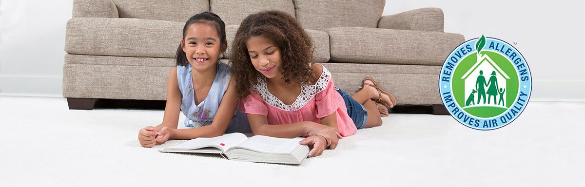 Chem-Dry is committed to providing you with superior solutions and services that you can trust to keep your home clean, safe and healthy.