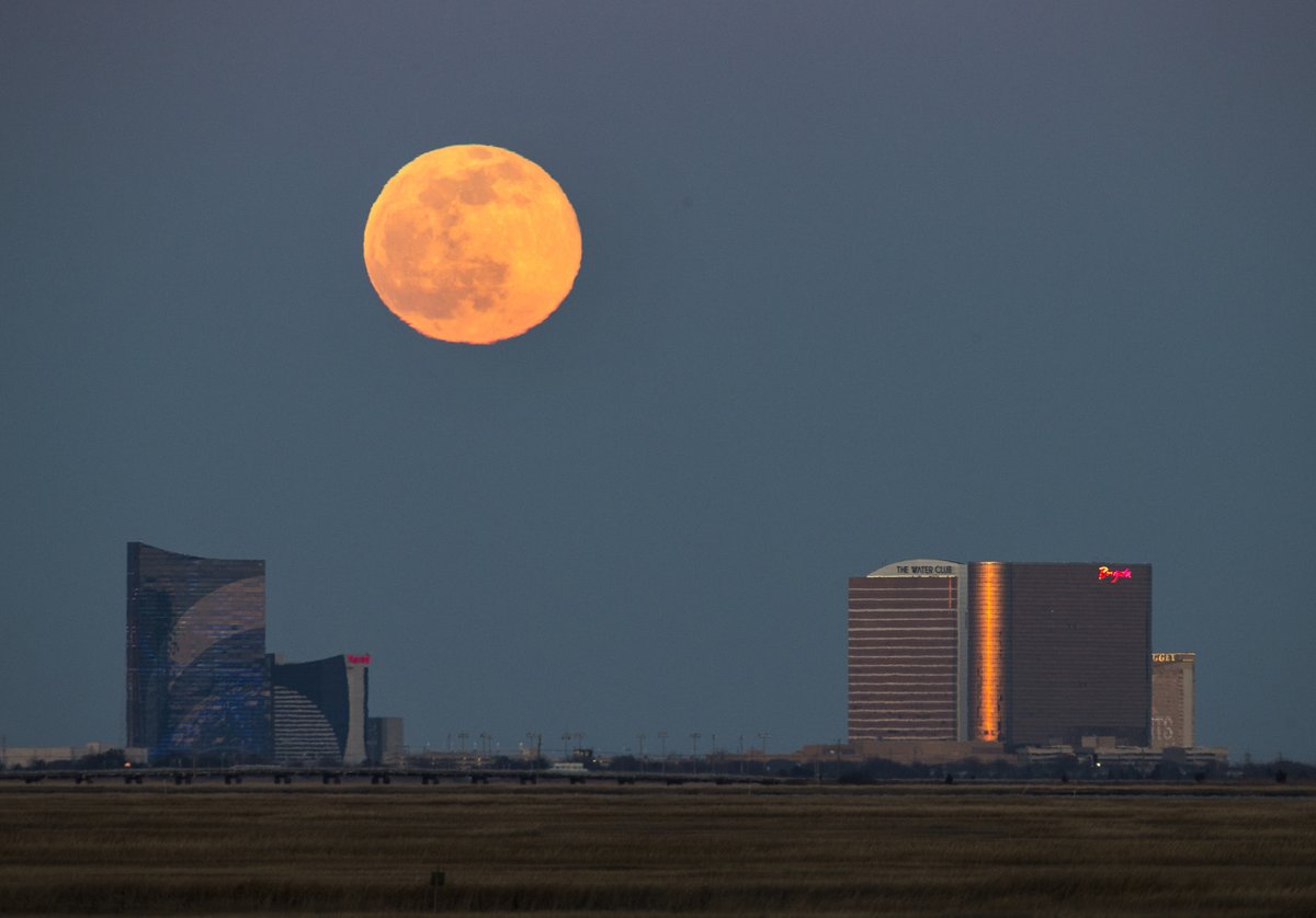 Tim Hawk tweet media