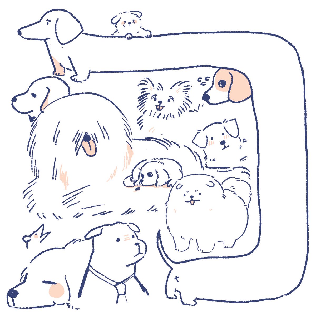 bark bark 