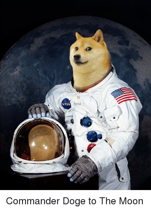 Former Piece of Shit💩 tweet media