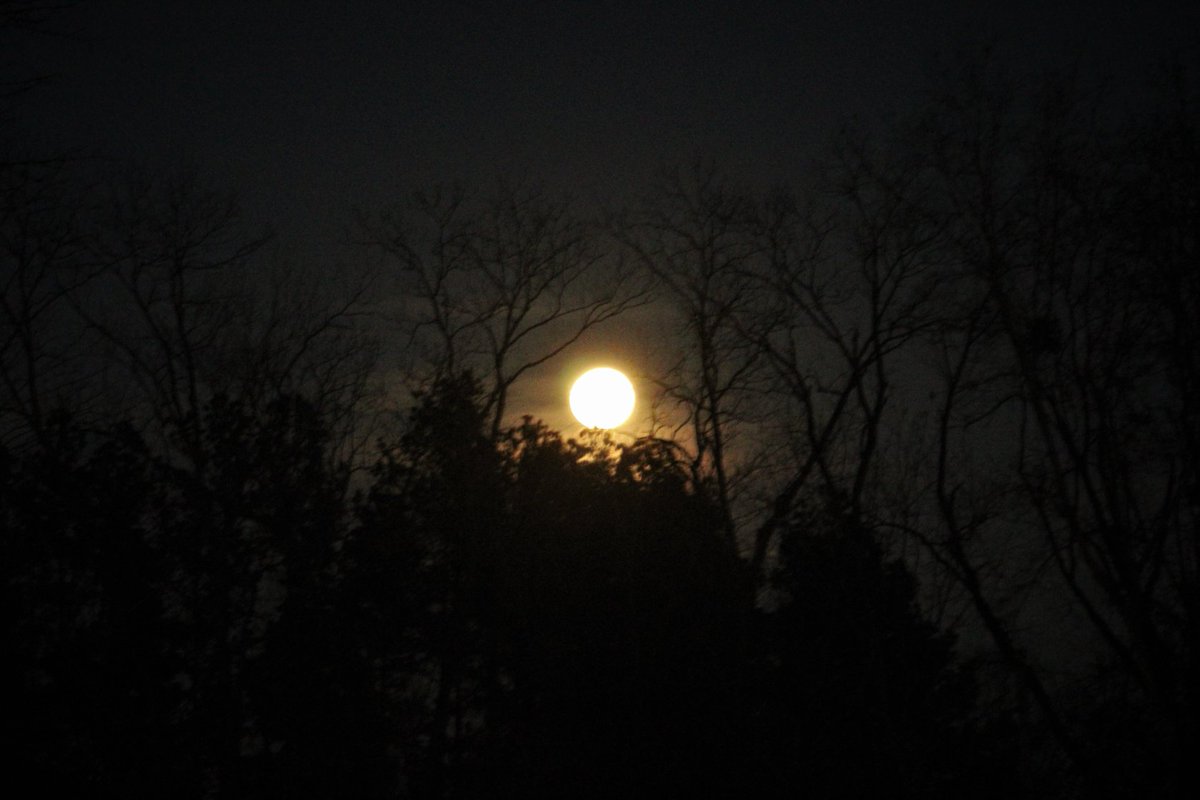 Don't miss tonight's Full Moon. #WolfMoon2021 #fullmoon #nature