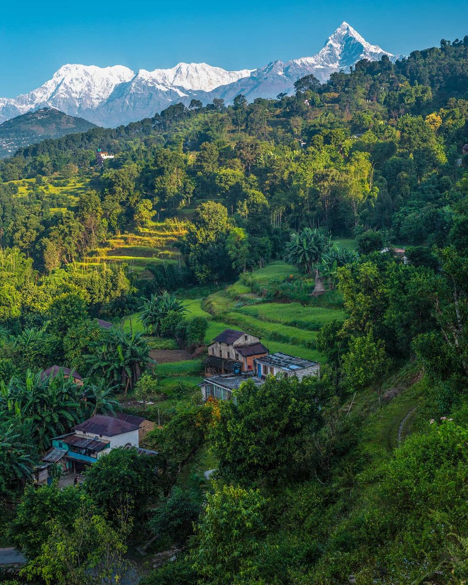 sulavyatra's tweet photo. Bijaypur, Pokhara ❤️🇳🇵
Photographed by: gautambijay51
#pokhara #machhapuchare #himalayas #nepal #sulavyatra https://t.co/kHRJtH0EKG