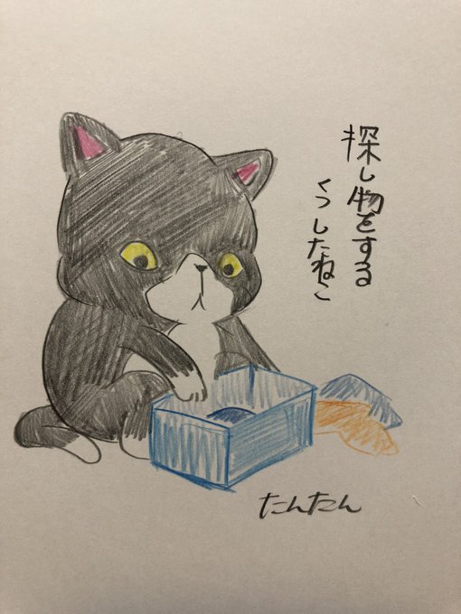 探し物をするくつしたねこ
1/2
#イラスト #猫
#色鉛筆 