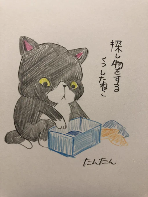 探し物をするくつしたねこ
1/2
#イラスト #猫
#色鉛筆 