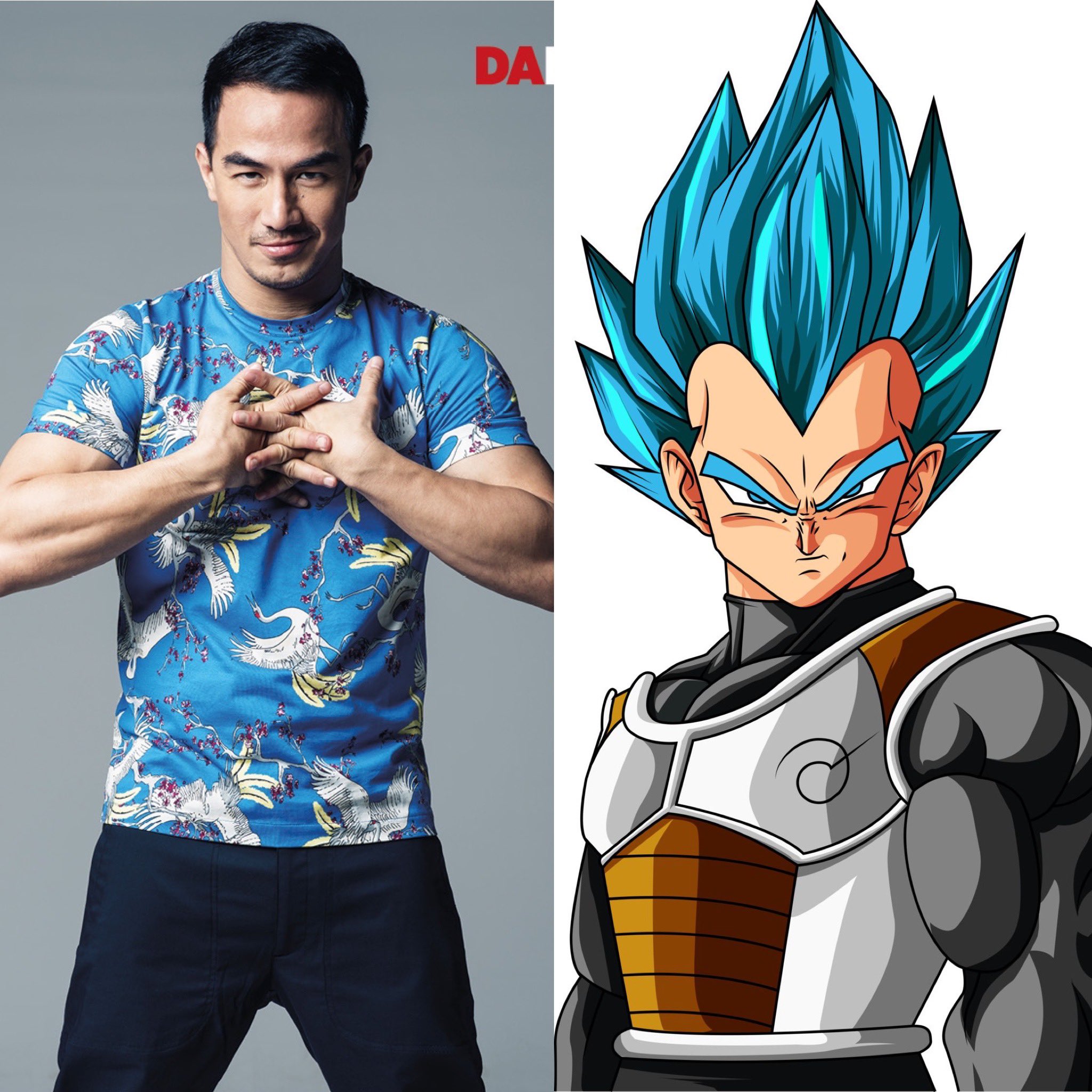 Planet Vegeta Fan Casting