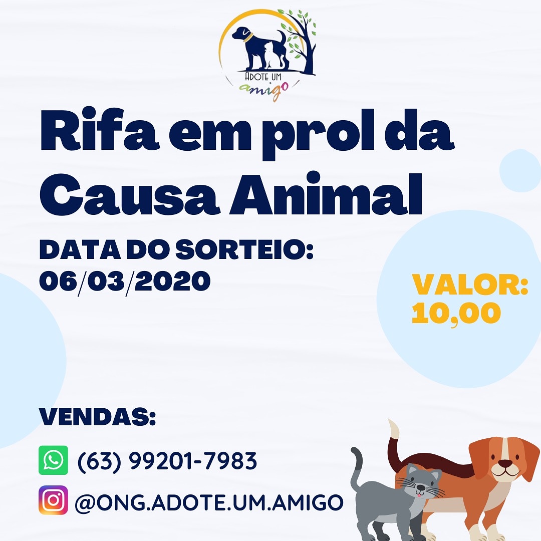 ONG que cuida de animais vítimas de maus-tratos está sendo despejada de casa em Palmas, Tocantins