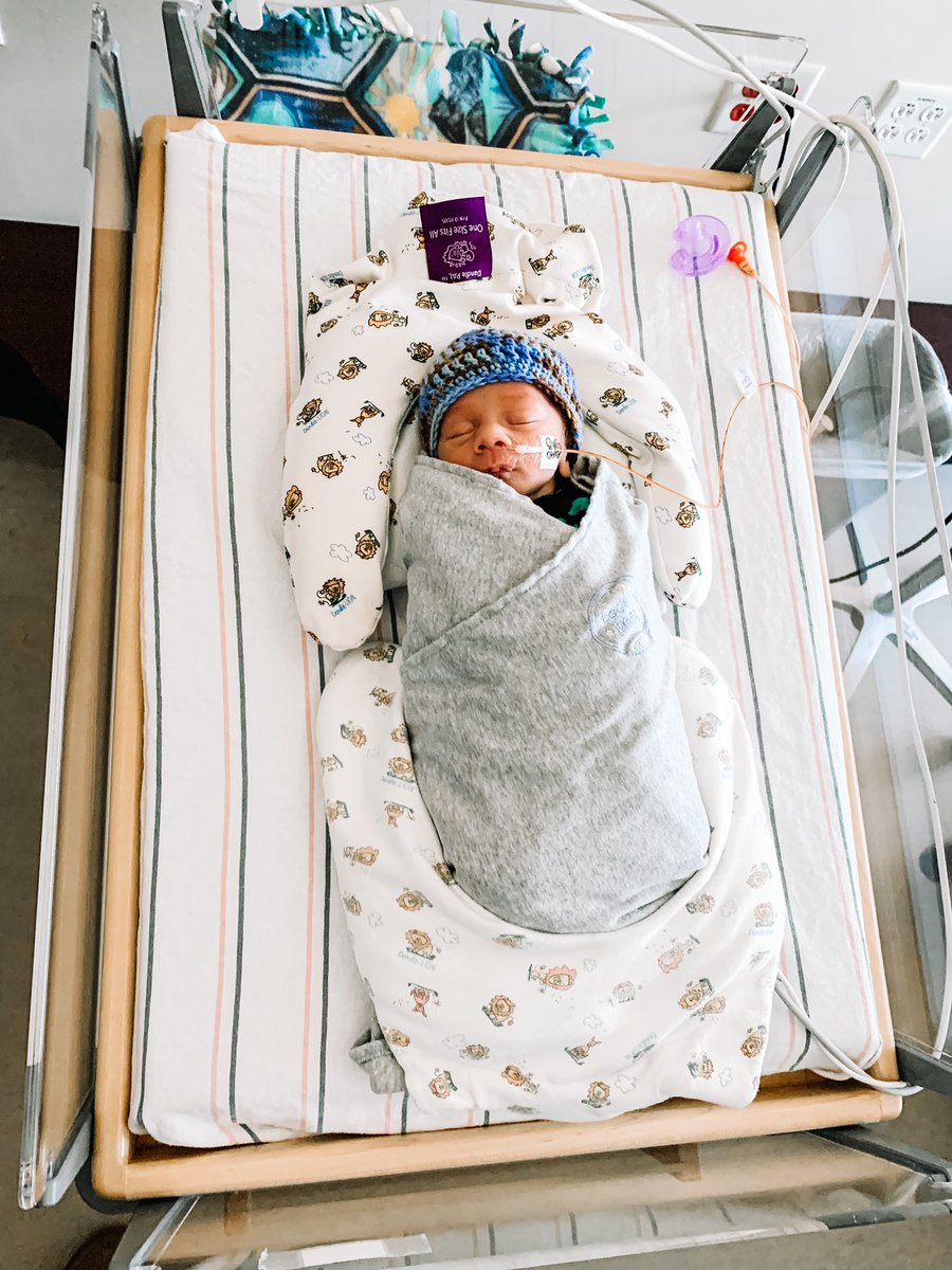 abz_aust's tweet photo. Every day is one step closer to bringing this sweet boy home. He’s now in an open crib!! 🙌🏼 https://t.co/ZHzjXWxiK8