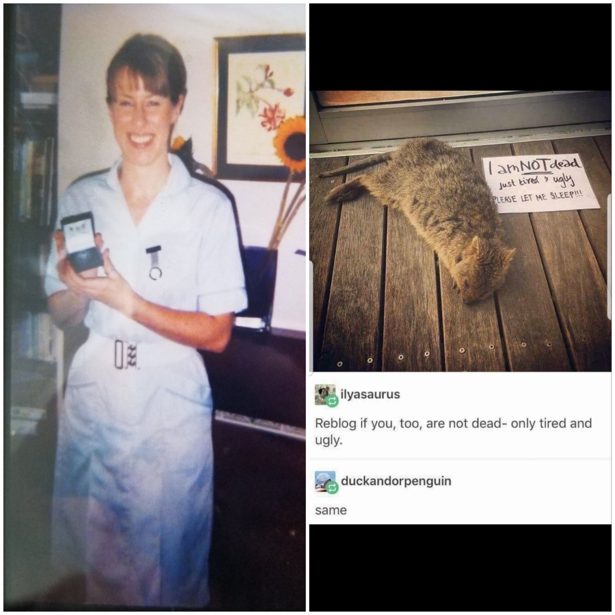 RebeccaJPW's tweet photo. It started: #RN young, keen, upright dramatically different coloured body parts for some inexplicable reason.
It's going: #RNPhD tired, ugly, horizontal, often mistaken for dead, the colour of doom.
#AcademicChatter
#AcademicTwitter #howitstartedvshowitsgoing
@AcademicsSay ๐๐ https://t.co/8XzEOJMiEL
