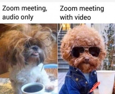 On the final day of the semester I asked students to find or create memes that encapsulated our time together. A thread of some of my favorite. Shout out to Rayan for this gem 