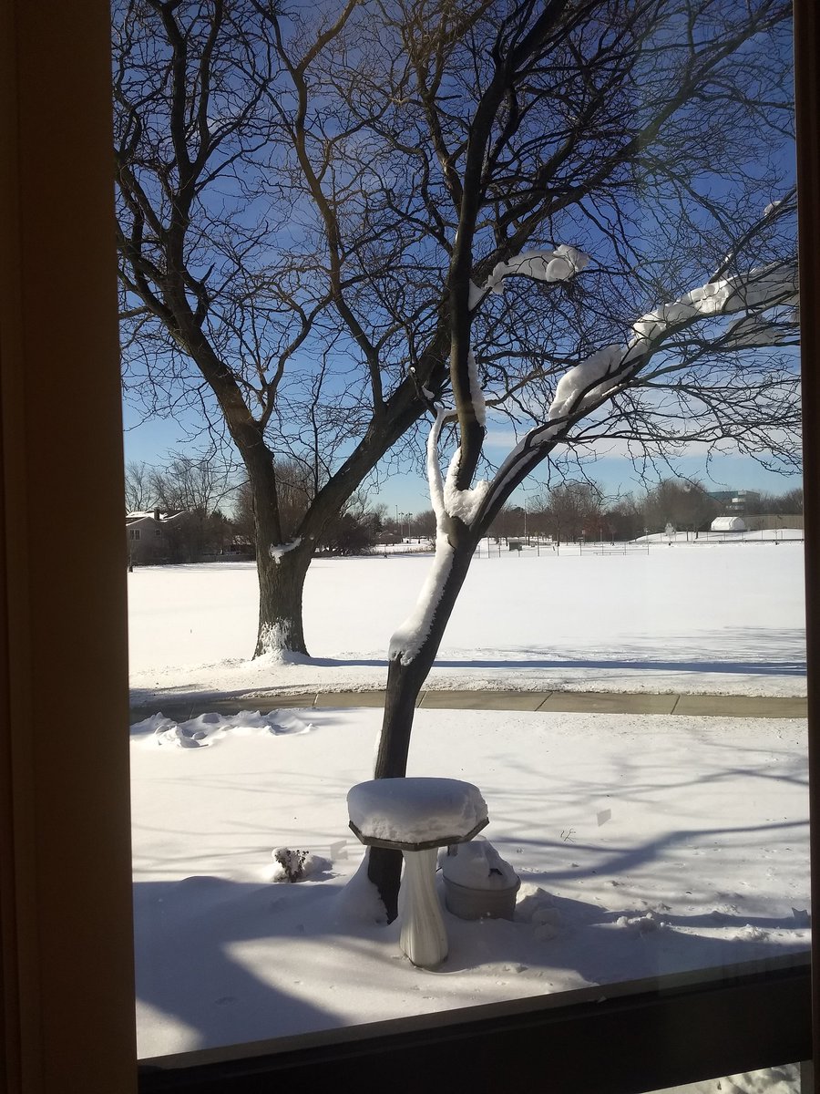 DocJLB's tweet photo. The 'classroom looking out' view. I bet by now even the squirrels and birds miss seeing the Ss! Alas, no winter lasts forever. 💛#wjhspantherpride https://t.co/6qp0U24Ifi