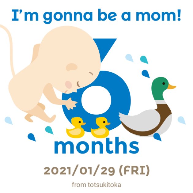 咲 にんぷ J0apmhzvfxkrum5 Twitter