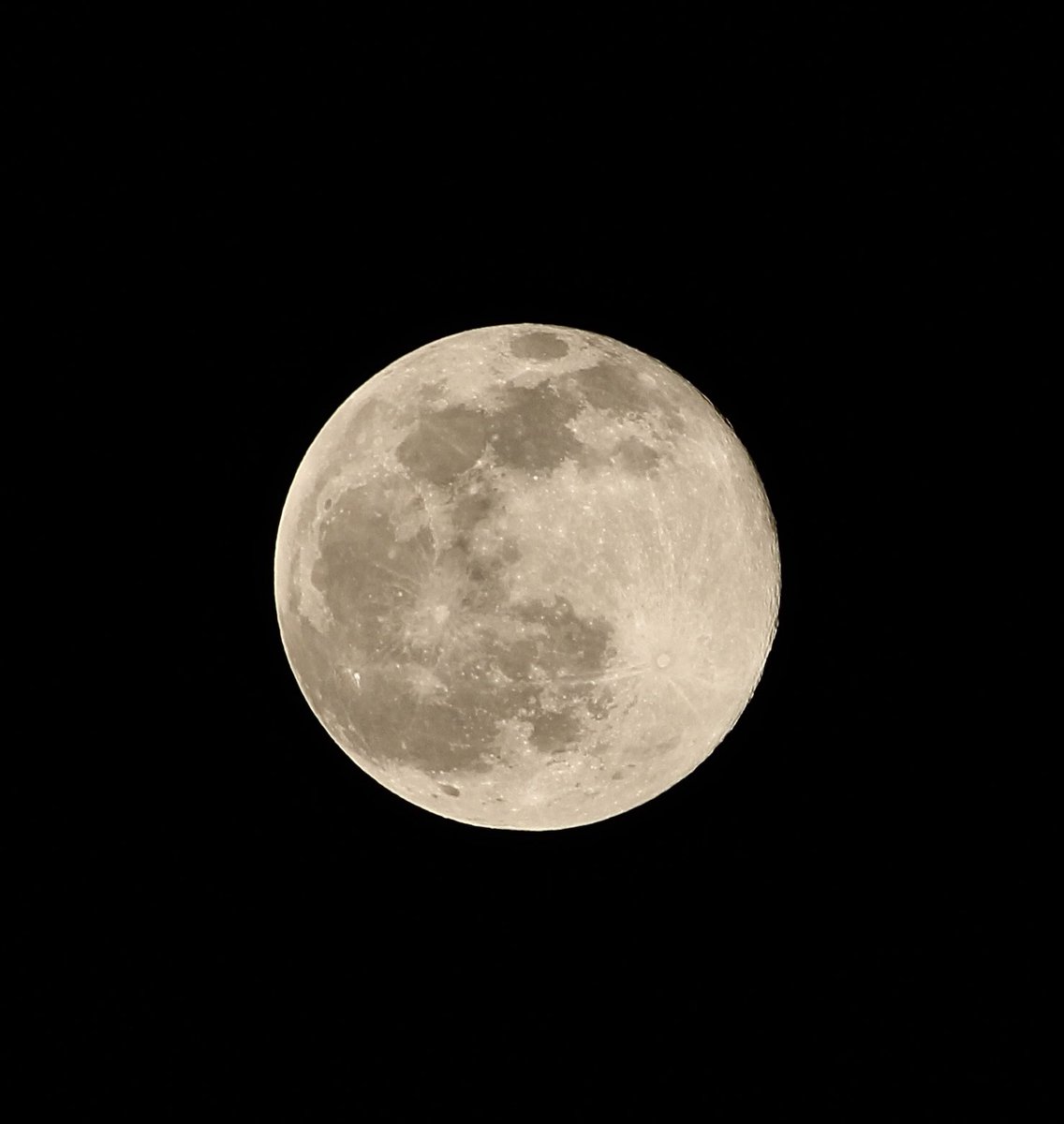 full moon in leo tonight! <3 beautiful as ever