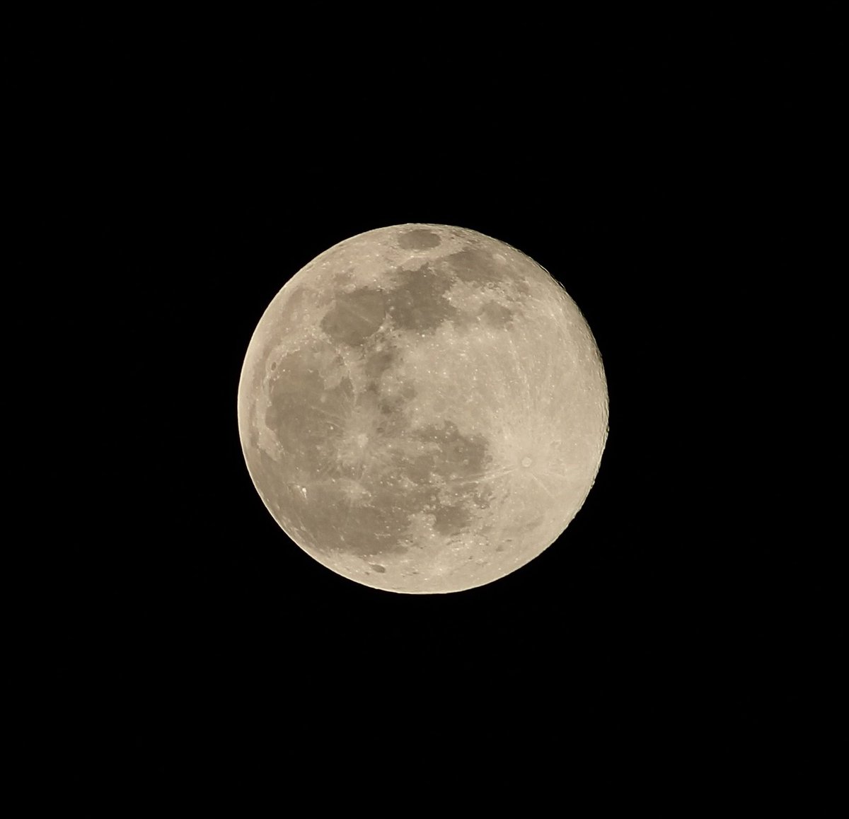 epolark's tweet photo. full moon in leo tonight! <3 beautiful as ever https://t.co/wxXYoKCjtD