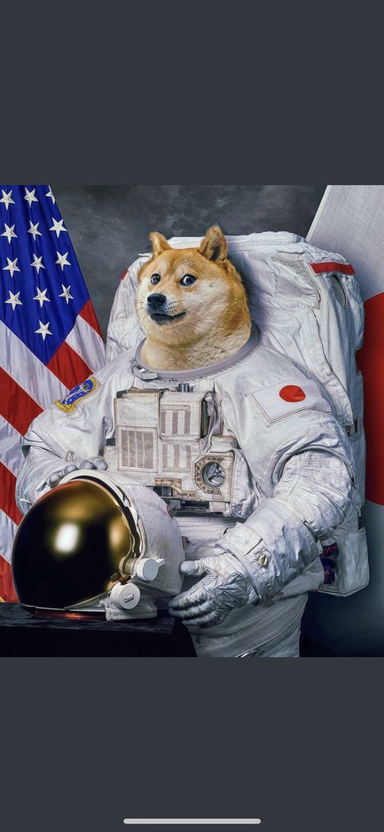 DonnieWitz's tweet image. Guys. This just came in while #dogecoin is going ballistic. Probably will hit $1.00 by the end of the night. Thanks, @B_A_Purtle