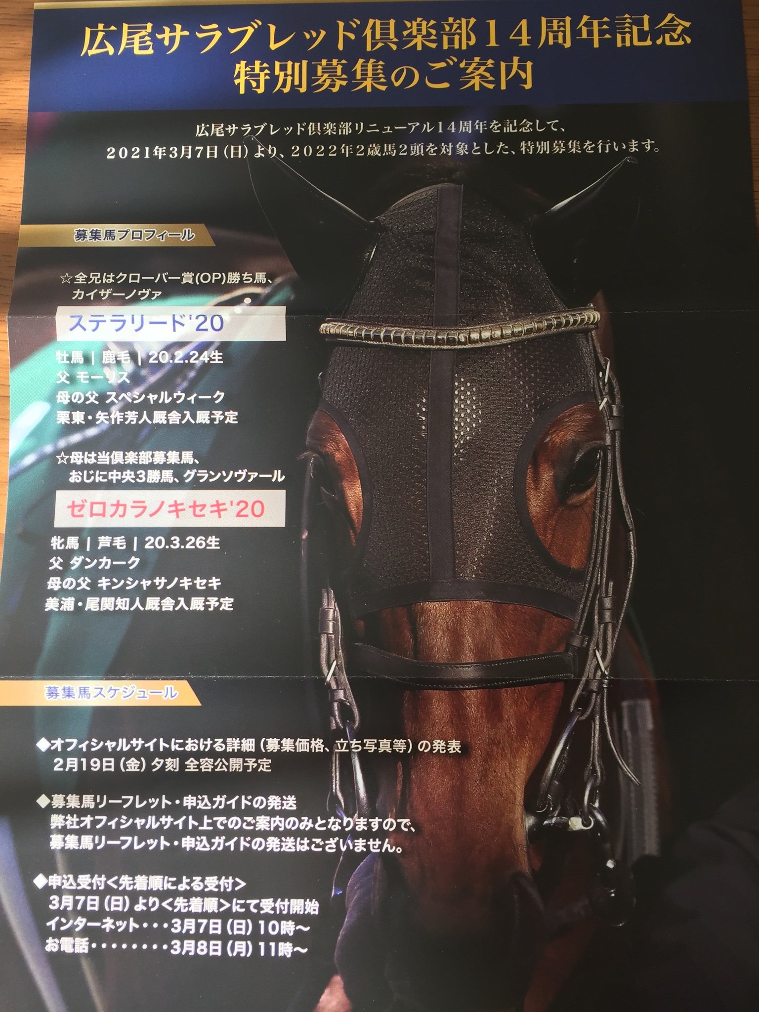 184 広尾tc 特別募集きました ステラリード ゼロカラノキセキ カイザーノヴァの全弟は即満口でしょうね