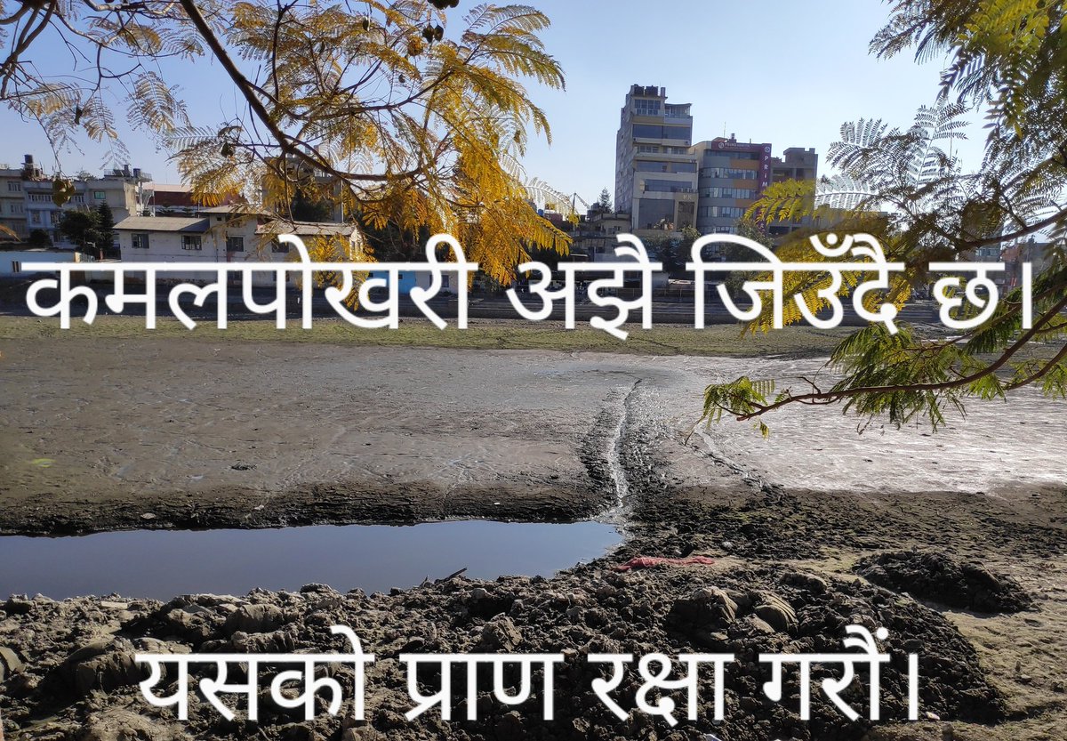 aloktuladhar's tweet photo. बिन्ती छ, मेयर साहब। 🙏 https://t.co/M0bSX2HnUO