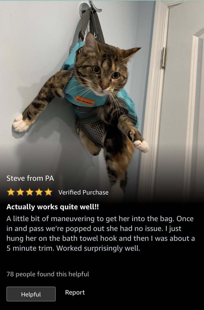 Rachel On Twitter Making My Head Hurt From Laughing At Amazon Reviews Of Cat Nail Trimming Bags