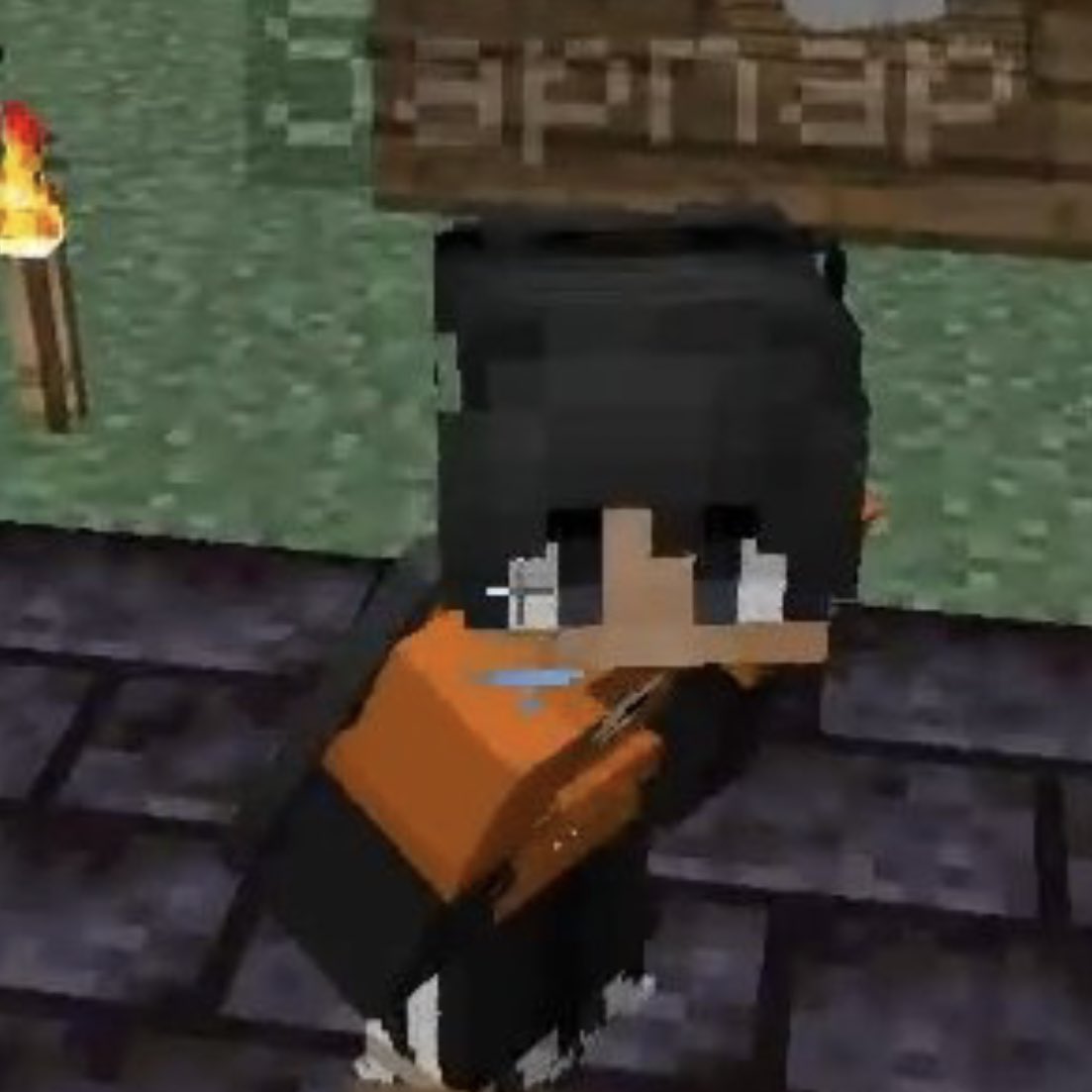 moving on to: sapnap’s mc character