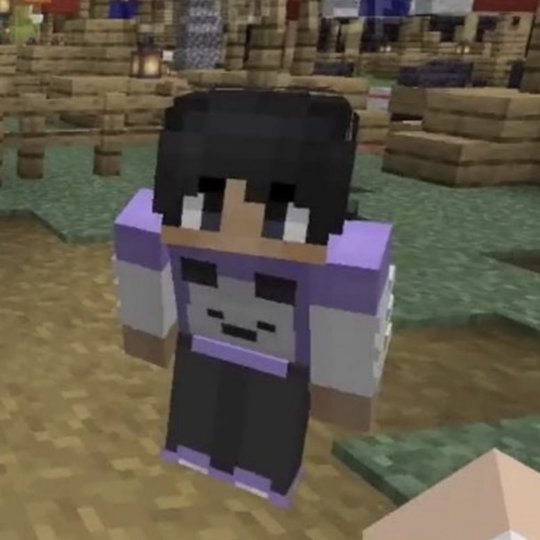 moving on to: sapnap’s mc character