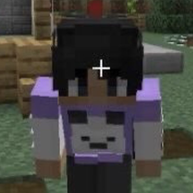 moving on to: sapnap’s mc character