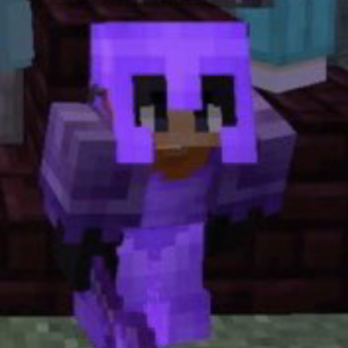 moving on to: sapnap’s mc character