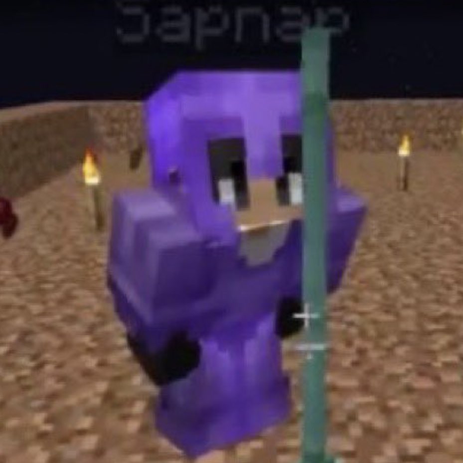 moving on to: sapnap’s mc character