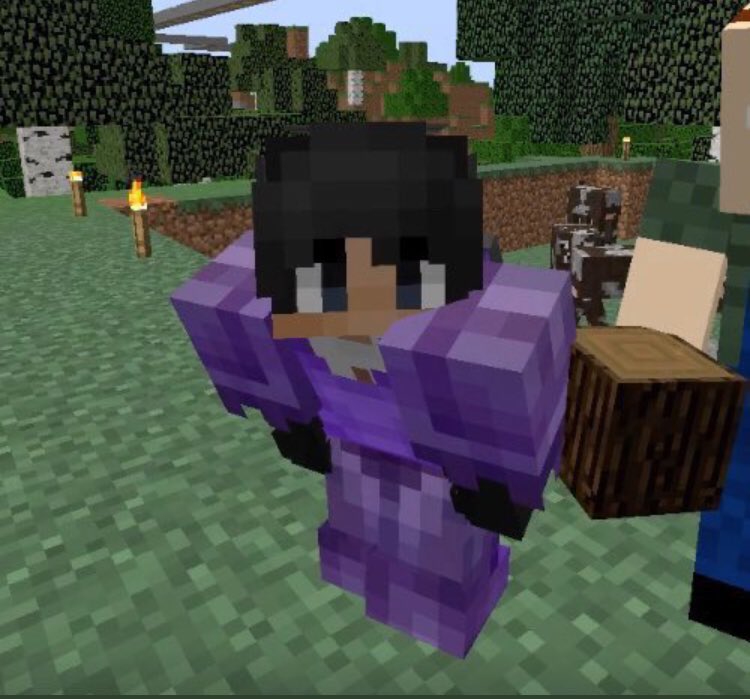 moving on to: sapnap’s mc character