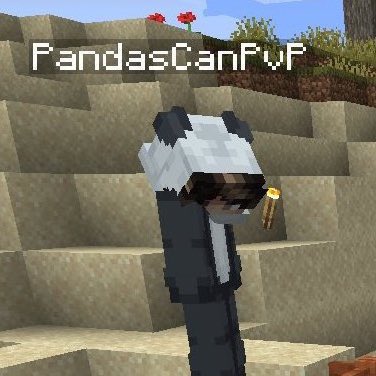 moving on to: sapnap’s mc character