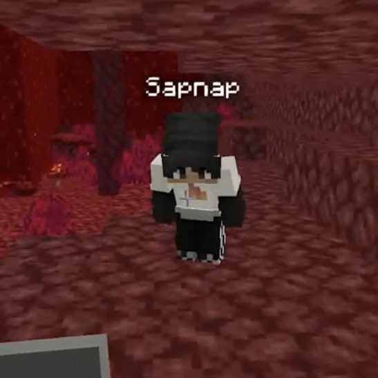 moving on to: sapnap’s mc character