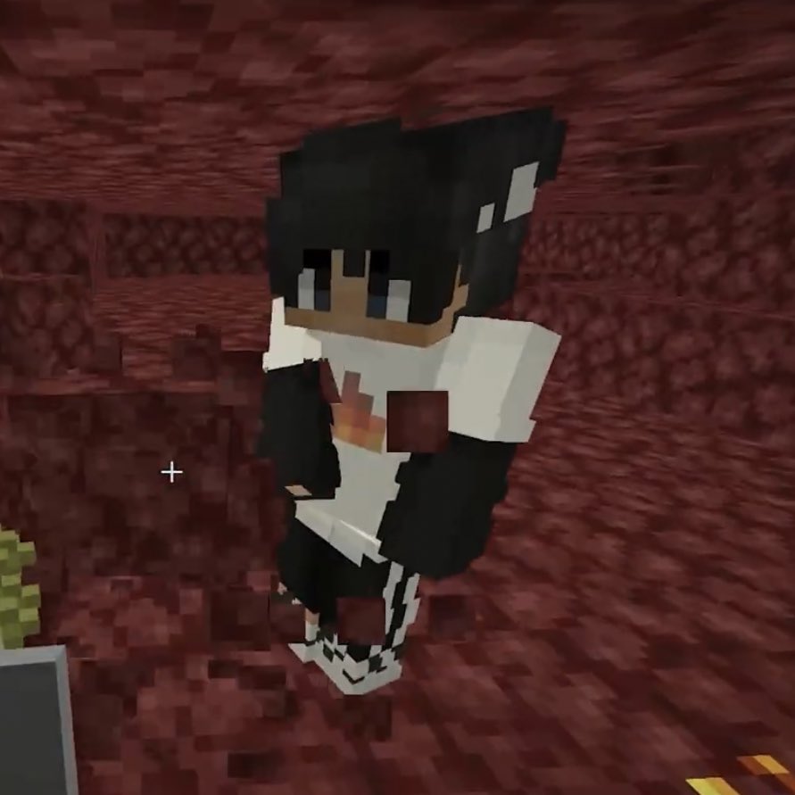 moving on to: sapnap’s mc character