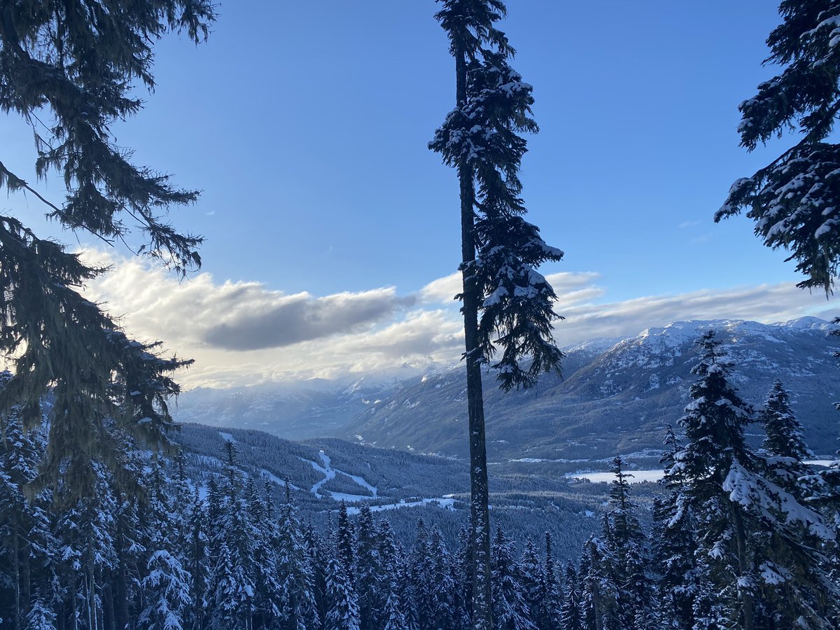 Penthrox was a winner last few days in freezing temps at Blackcomb. Buys 5 min for IV narcotics etc. So much lighter than a tank of Entonox getting into scene. ‘New’ for this part of the world.