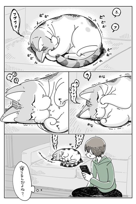 爆睡するネコ
https://t.co/VidBeflhKI 
