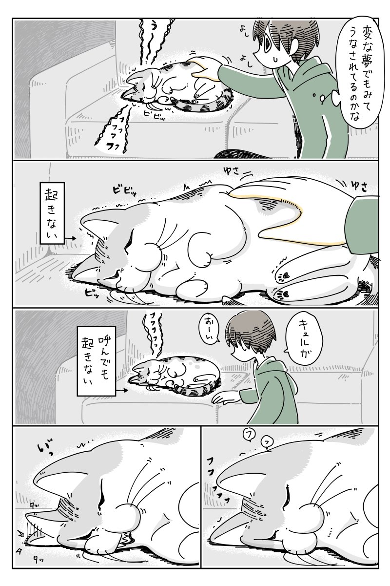 爆睡するネコ
https://t.co/VidBeflhKI 