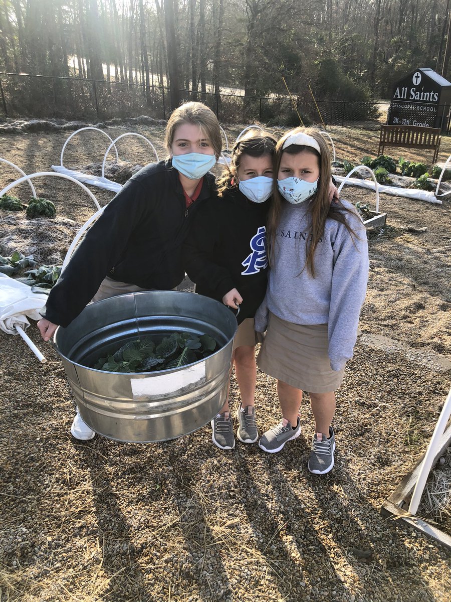 jeanarnold25's tweet photo. Harvesting greens for the Garden of Eat’n! 🥬🥦 #asestyler @AllSaintsTyler #learningfarm #authenticlearning #farmtotable https://t.co/HCHJfcM4BL