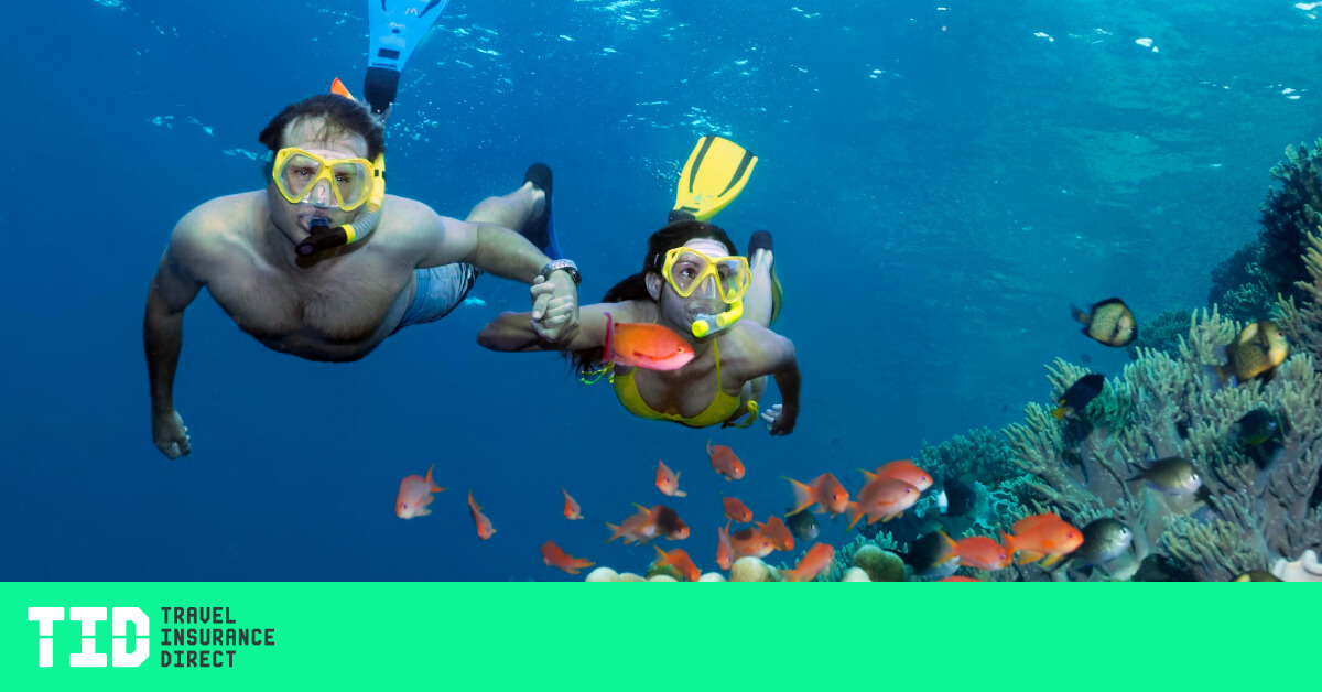 From the Great Barrier Reef to the Daintree Rainforest, exploring Cairns like a local is now a possibility with Queensland border restrictions easing next week.

travelinsurancedirect.com.au/blog/a-locals-…