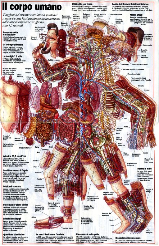 Biology cutaways