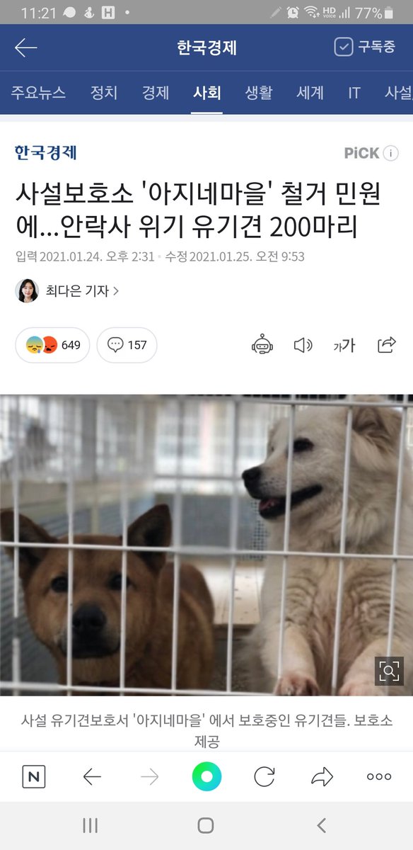 🙏철거 위기인 아지네마을 국민신문고 김포시청 김포읍사무소 철거반대 민원 넣어 주세요 방송국 아는기자분 인터넷 신문 커뮤니티공간등에 공론화 해 주세요 안락사 없이 10년이상을 대형견 아가들을 돌보아온 아지네마을이 유지 가능하게 힘을 모아 주세요🙏