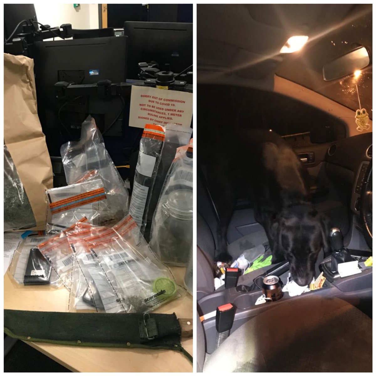 StaffsDogs's tweet photo. #shift1's PD Archie and handler out in support of @TamworthNPT this evening. Large quantity of drugs and weapons recovered from routine vehicle stop and subsequent enquiries. https://t.co/AfragCvJHp
