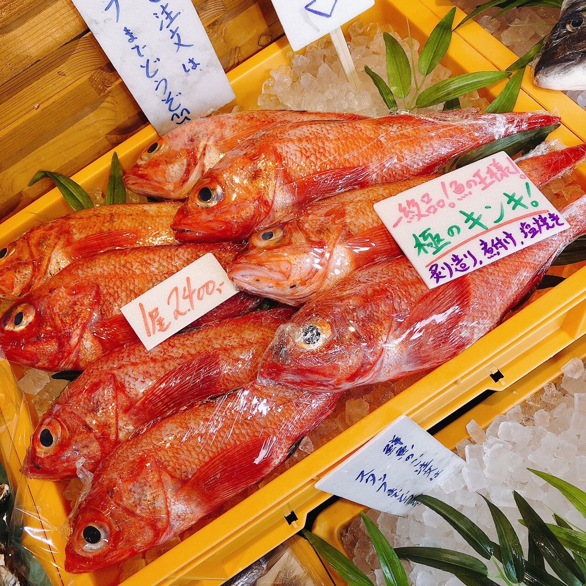 Twitter இல サカナテラス プレミアム 極 本日 極上もの が多数ですよー 要チェックですよ サカナテラス 魚屋 鮮魚販売 京都 舞鶴 舞鶴グルメ 舞鶴ランチ 舞鶴カフェ 海の京都 うまいづる 京都グルメ サカナテラスdk社長 Youtube