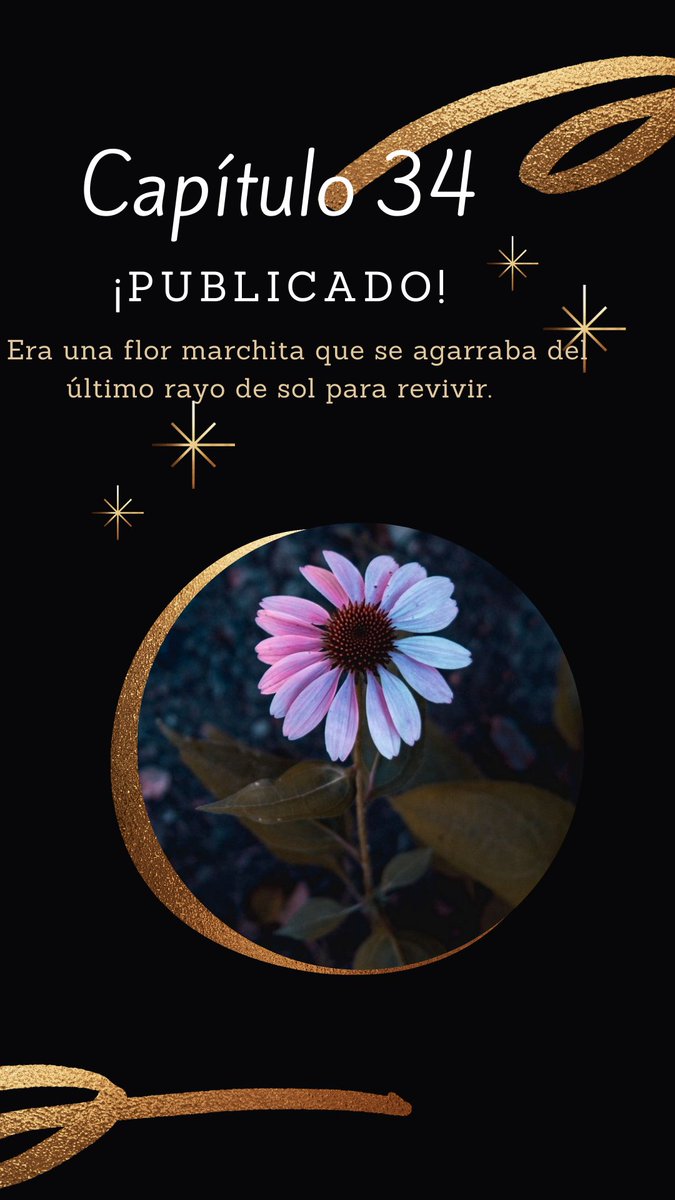 clco_31's tweet image. A mí me volvió loco tu forma de ser.
Tu egoísmo y tu soledad 
Son joyas en el barro de la mediocridad.

#Wattpad #Actualización #Capítulo34 #spotifyplaylist 

@wattpad_Booknet @RecoWattDM01 @WattpadAdicted @watpad_historia