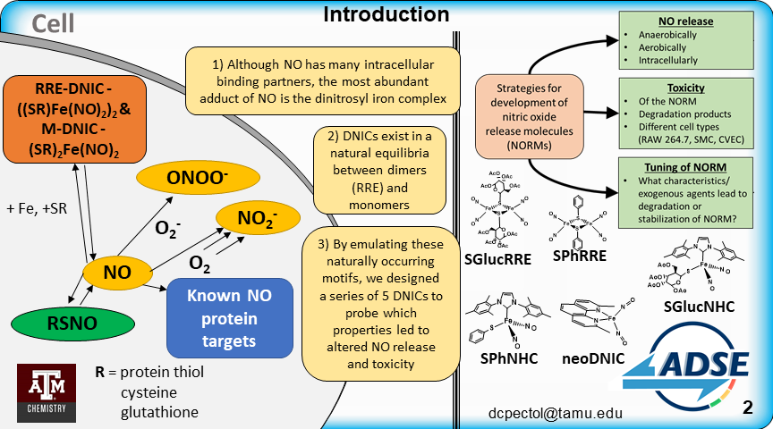 ChemChase's tweet photo. Let me know if you want to know more about DNICs, AKA the whole reason for my PhD in Chemsitry. Anyways, here's my virtual poster for the Alliance for Diversity in Science and Engineering Young Researcher Conference. #YRCPosterSession2021 #DNICs #NitricOxide #OhNO https://t.co/A6fZcPLIpe