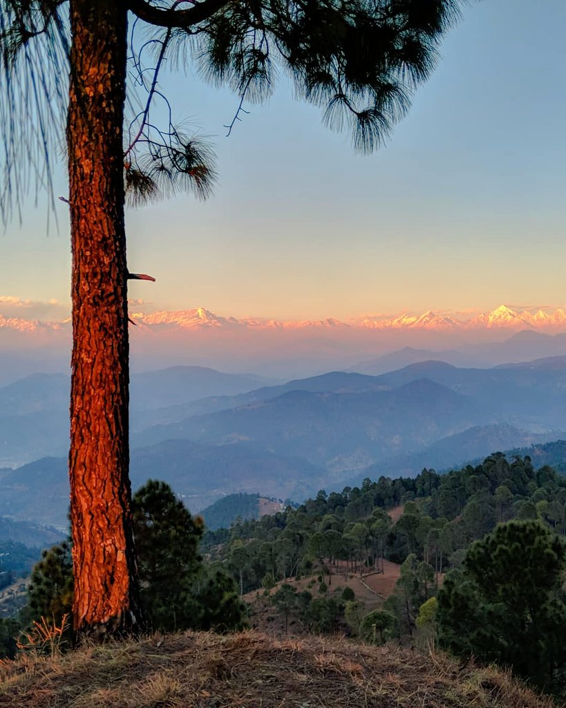 Thikane24's tweet photo. #Bageshwar situated on the confluence of Saryu and Gomati rivers, surrounded by the #mountains of Bhileshwar and Nileshwar to its east and west and by the Suraj Kund in the north and Agni Kund in the south.
#Uttarakhand #nature #Tourism #wellness #Photos #offbeatuk #offbeat https://t.co/cADjp9imIv