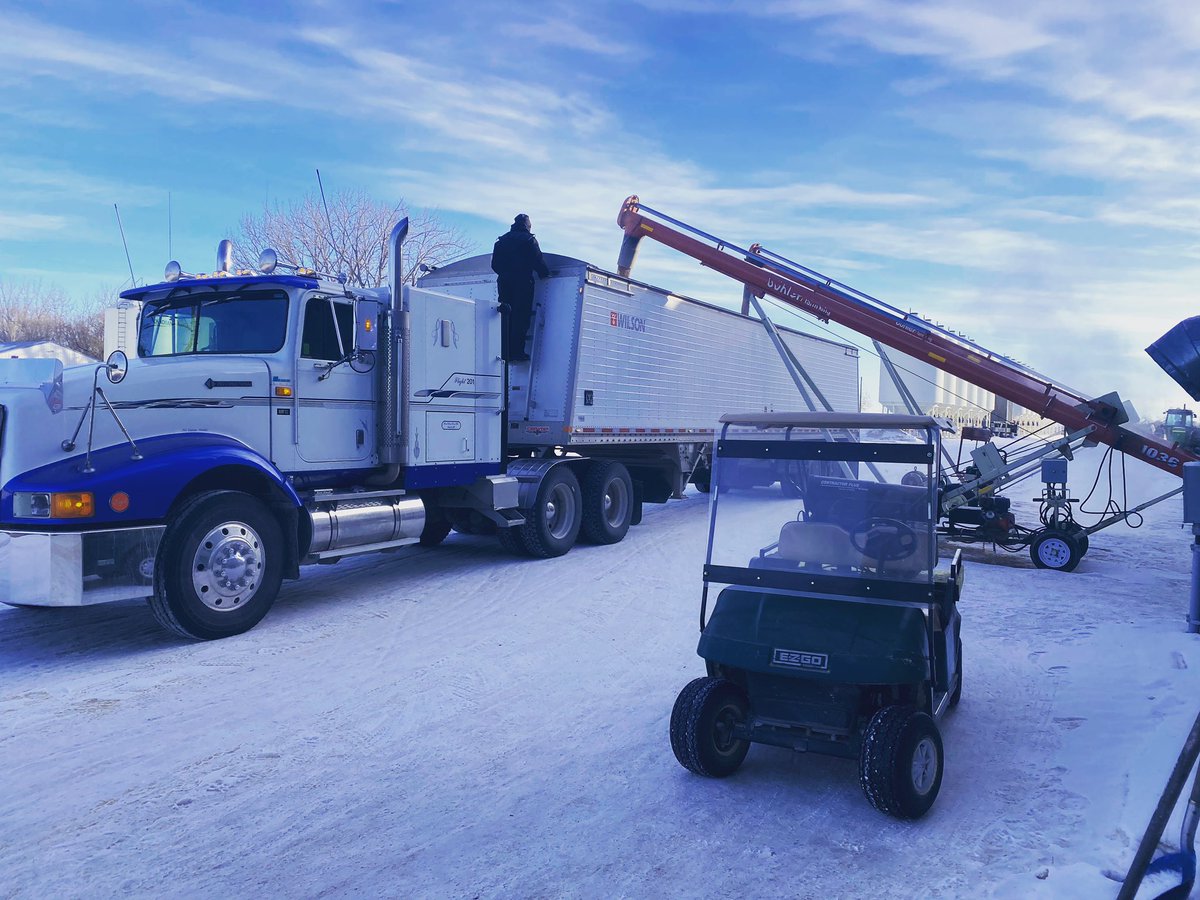 Loading Faller Wheat! #loadingbothtrailersatsametime #feedwheat #plant21 <a href="/SeedDepot/">Seed Depot</a>