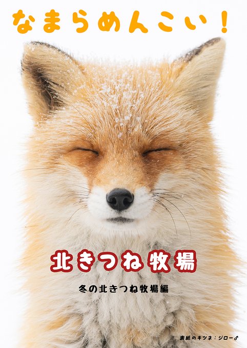 Fox Info Netさんのイラストまとめ