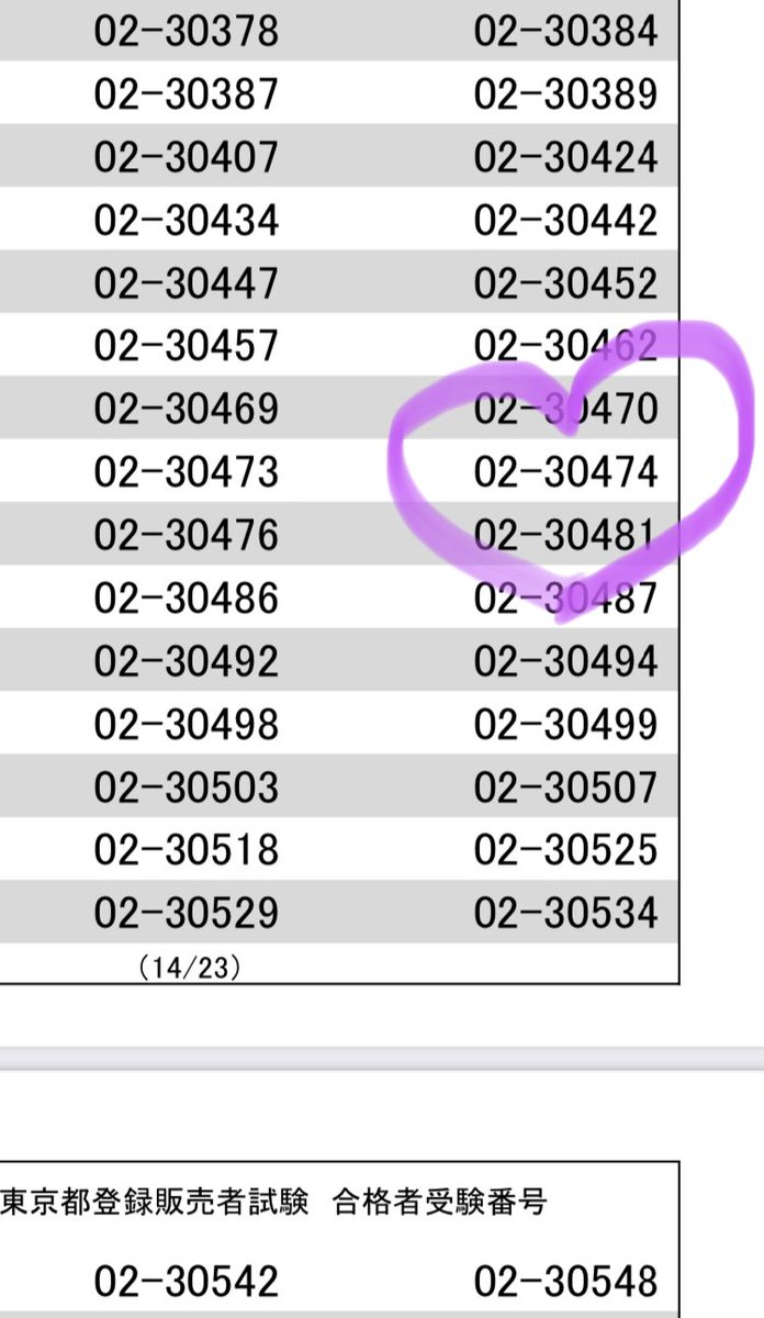 群馬 県 登録 販売 者 試験