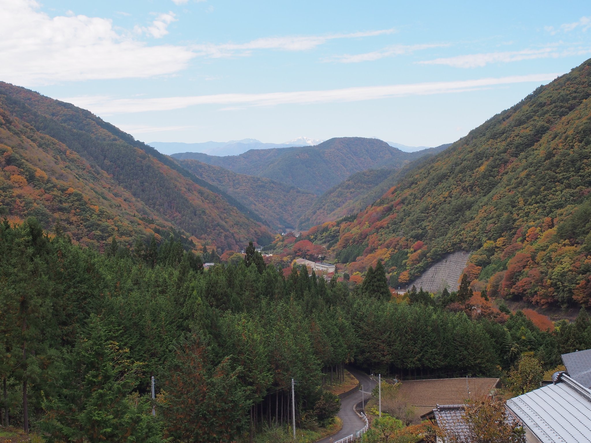 精進ブルーライン Twitter Search Twitter