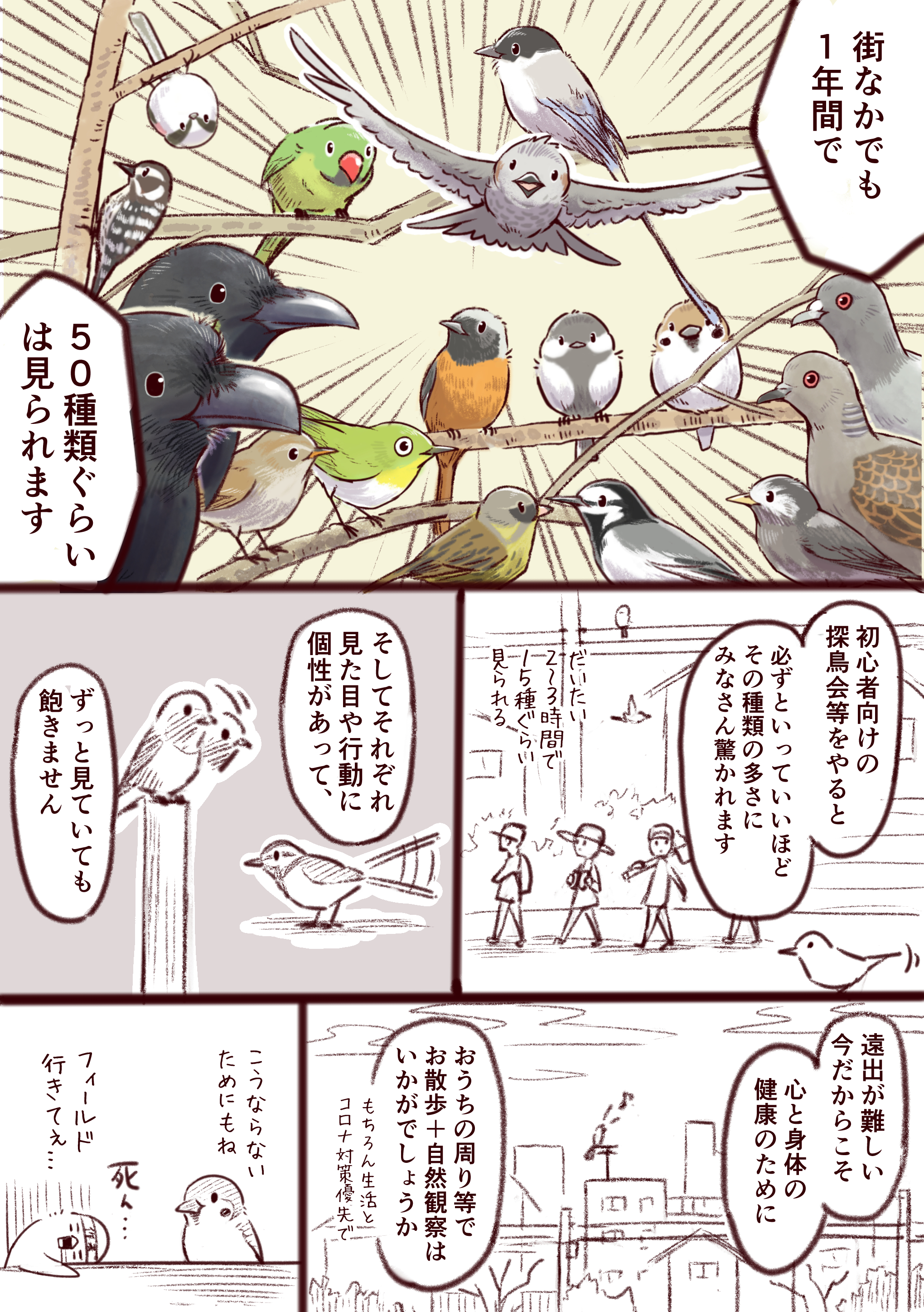 一日一種@いきもにあ有難うございました on X: 一日一種@いきもにあ有難うございました on X: