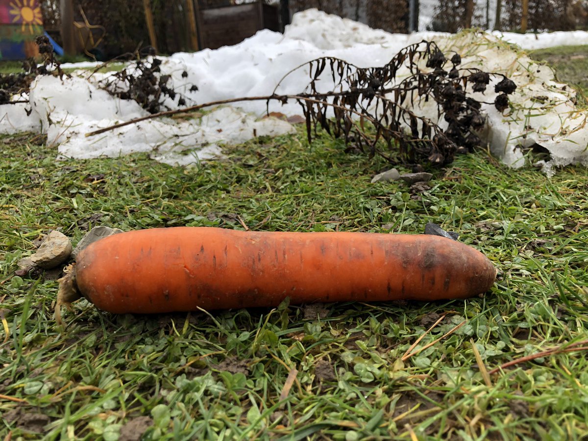 RIP Schneemann. Wir werden Dich vermissen. 🥲