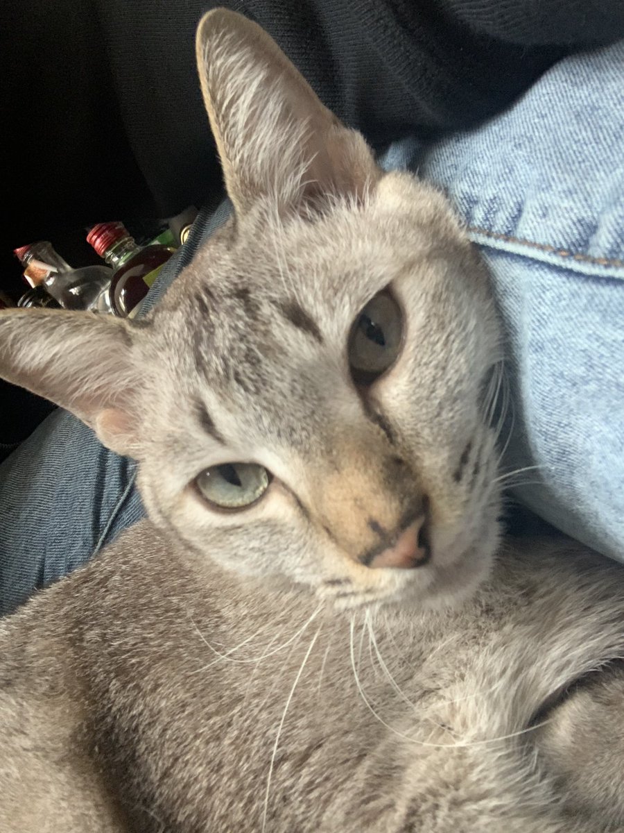 Sing Lit Station tweet media